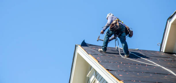 Best Roof Gutter Cleaning  in Bear Creek, FL